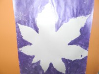 /album/feuilles-et-papillons/picture-234-jpg/